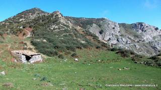 nte Scuderi-23-11-2014 09-48-41
